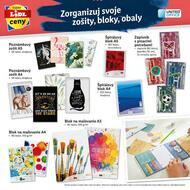 12. stránka Lidl letáku