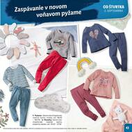 43. stránka Lidl letáku