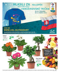 27. stránka Lidl letáku