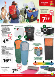 55. stránka Lidl letáku