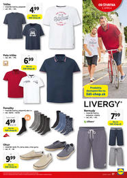 37. stránka Lidl letáku