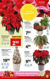 27. stránka Lidl letáku