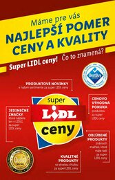12. stránka Lidl letáku