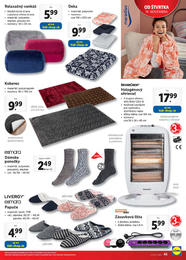 45. stránka Lidl letáku