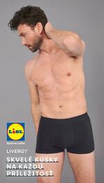 29. stránka Lidl letáku
