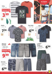 33. stránka Lidl letáku