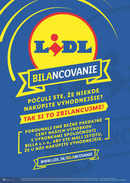 10. stránka Lidl letáku