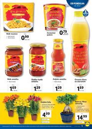 11. stránka Lidl letáku