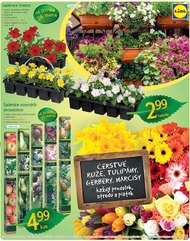 13. stránka Lidl letáku