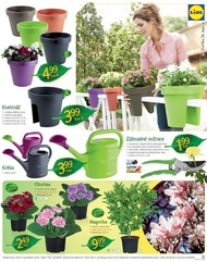 33. stránka Lidl letáku