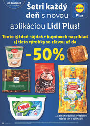 22. stránka Lidl letáku