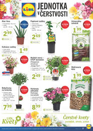 17. stránka Lidl letáku