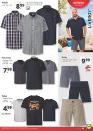 43. stránka Lidl letáku