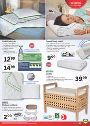 41. stránka Lidl letáku