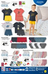 31. stránka Lidl letáku