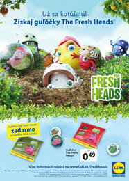 2. stránka Lidl letáku