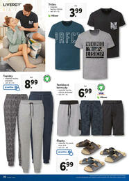 31. stránka Lidl letáku