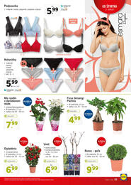 35. stránka Lidl letáku