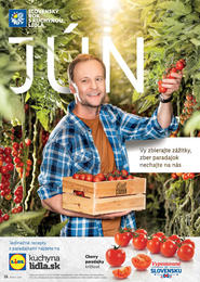 16. stránka Lidl letáku