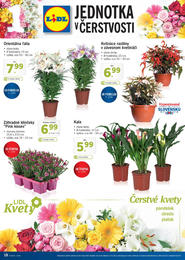 18. stránka Lidl letáku