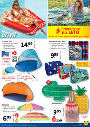 19. stránka Lidl letáku