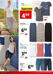 24. stránka Lidl letáku