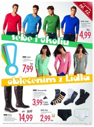 13. stránka Lidl letáku