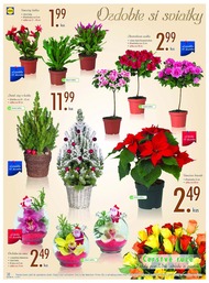 38. stránka Lidl letáku
