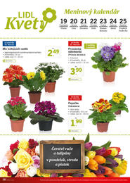 38. stránka Lidl letáku