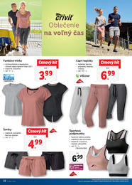 22. stránka Lidl letáku