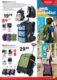 35. stránka Lidl letáku
