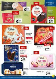 23. stránka Lidl letáku