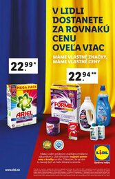 19. stránka Lidl letáku