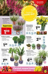 27. stránka Lidl letáku