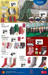 29. stránka Lidl letáku
