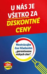 16. stránka Lidl letáku