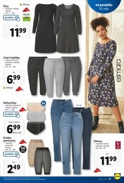 21. stránka Lidl letáku