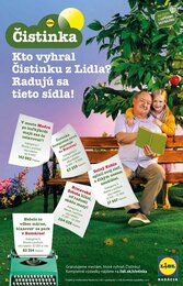 3. stránka Lidl letáku
