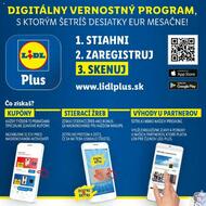 13. stránka Lidl letáku