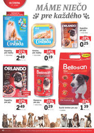40. stránka Lidl letáku