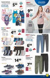 31. stránka Lidl letáku