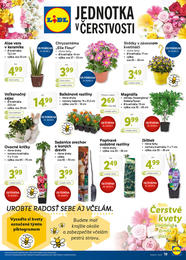19. stránka Lidl letáku