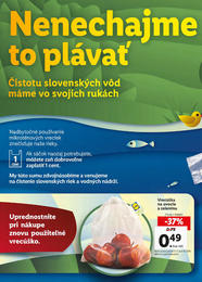 32. stránka Lidl letáku