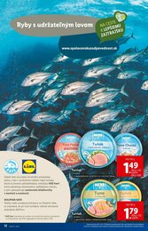 12. stránka Lidl letáku