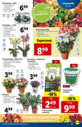 29. stránka Lidl letáku