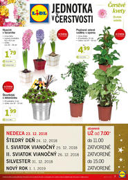7. stránka Lidl letáku