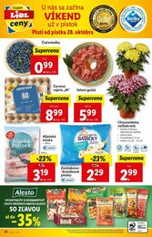 32. stránka Lidl letáku