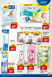 21. stránka Lidl letáku