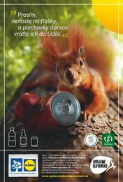 24. stránka Lidl letáku