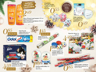 13. stránka Coop letáku